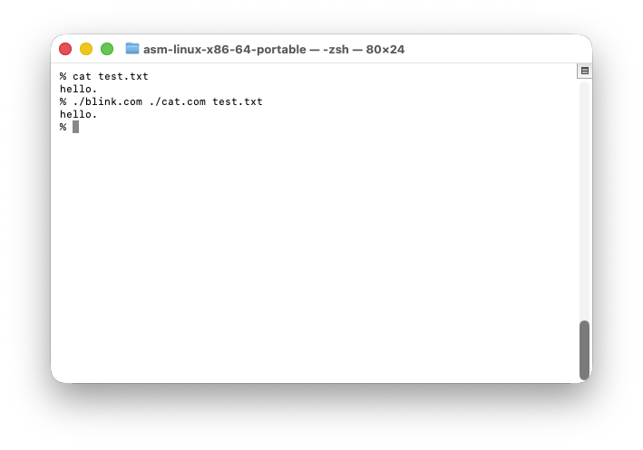 macOS上で期待通り動作するアセンブリ製catコマンド